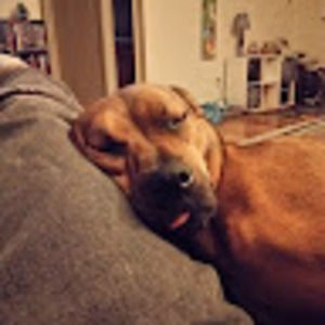 Meet your Posher, Chase